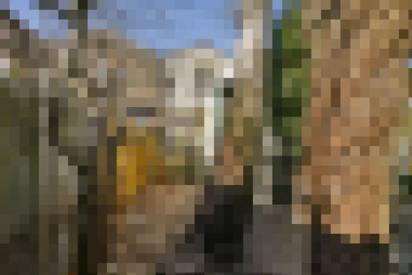 Lethmaetstraat 53 Gouda thumbnail 4