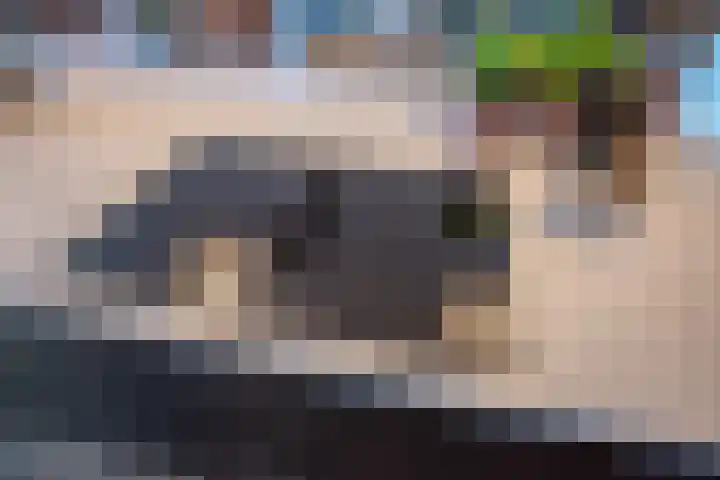 Letland 18 Delft thumbnail 11