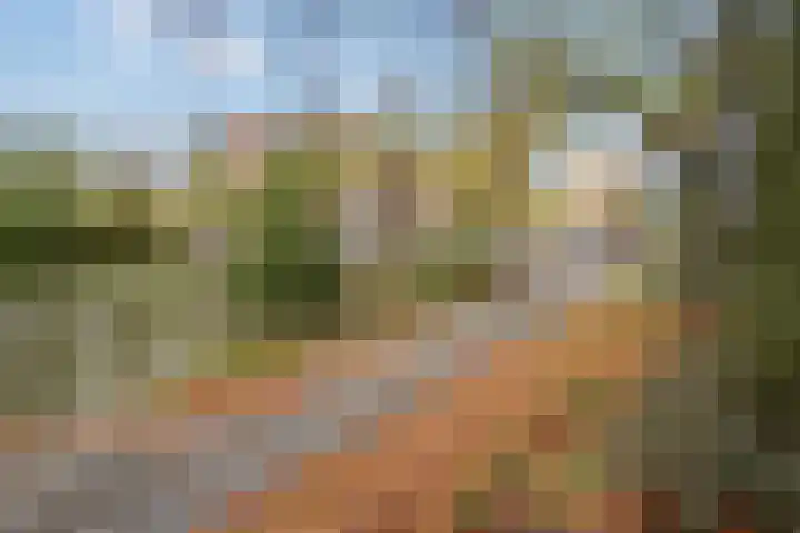 Letland 18 Delft thumbnail 35