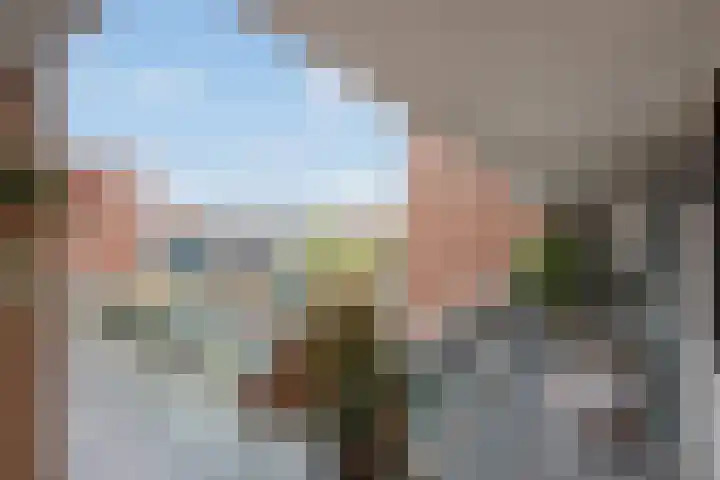 Letland 18 Delft thumbnail 7
