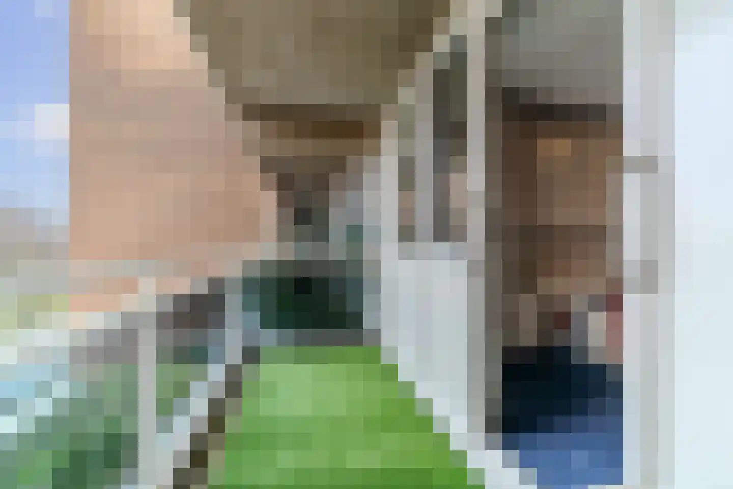 Letland 50 Delft thumbnail 20