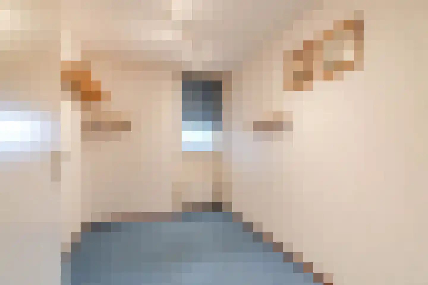Letland 50 Delft thumbnail 24