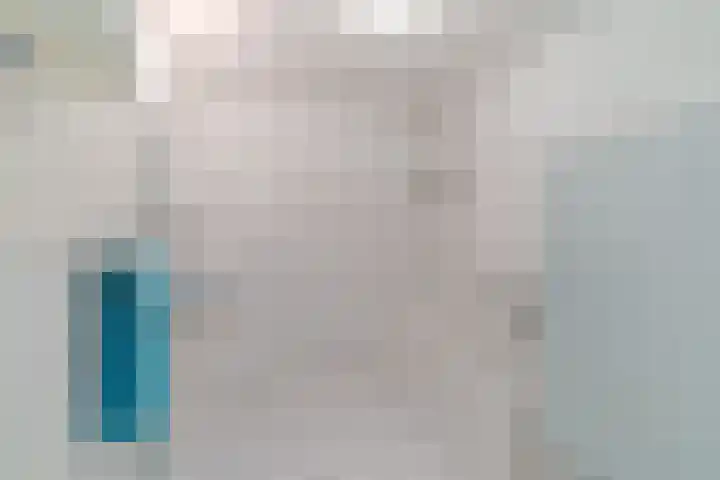 Letland 50 Delft thumbnail 26