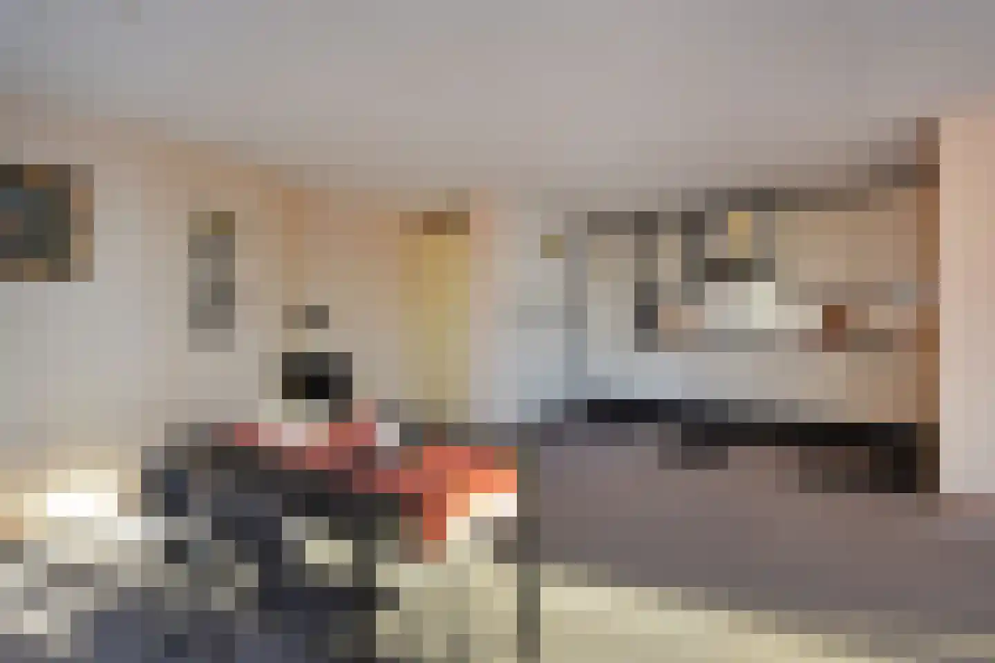 Letland 8 Delft thumbnail 11