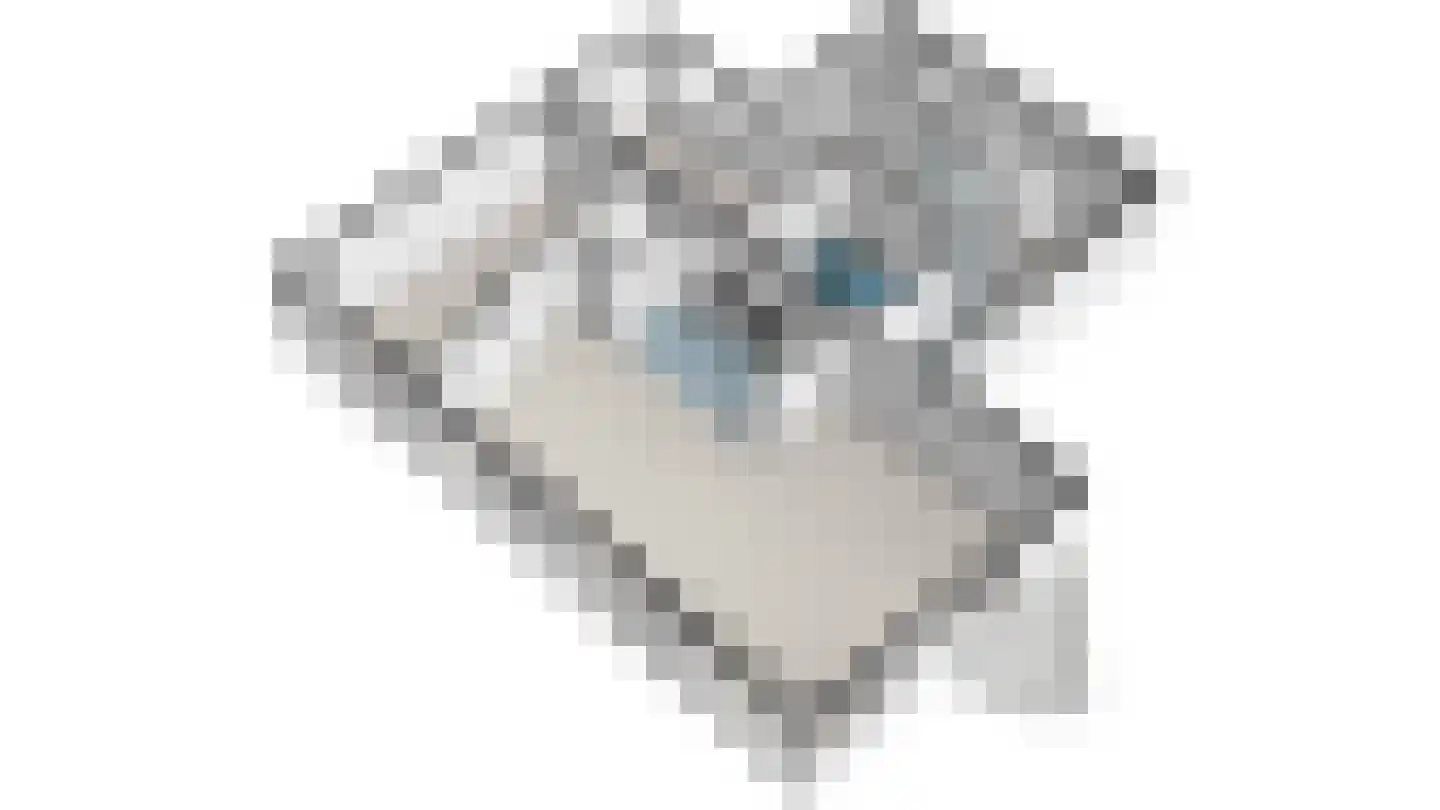 Letland 8 Delft thumbnail 42