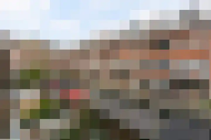 Letlandsestraat 14 A Rotterdam thumbnail 17