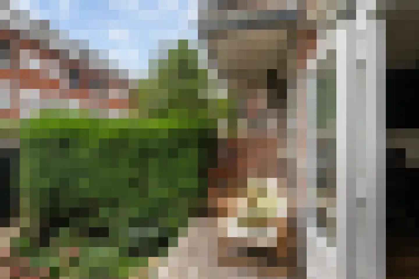 Letlandsestraat 24 A Rotterdam thumbnail 25