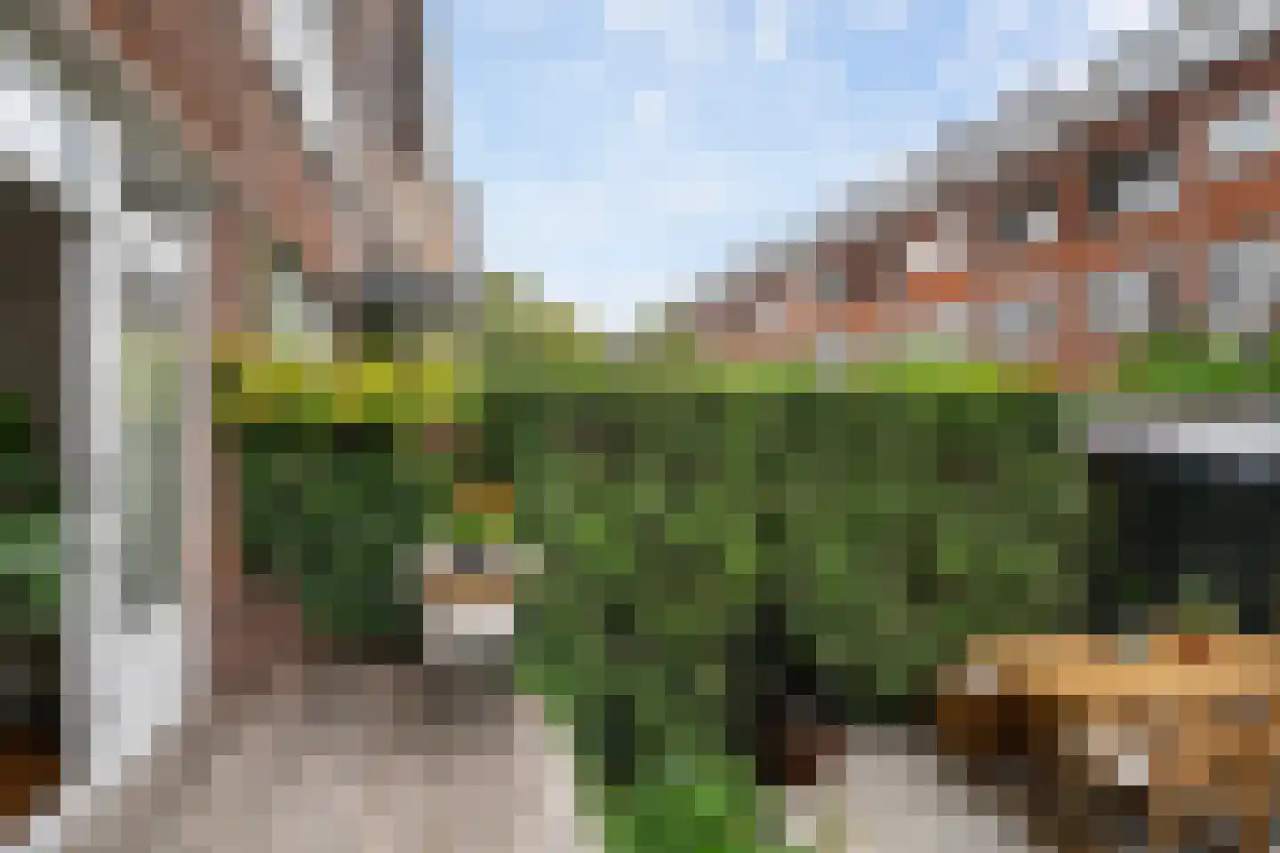 Letlandsestraat 24 A Rotterdam thumbnail 26