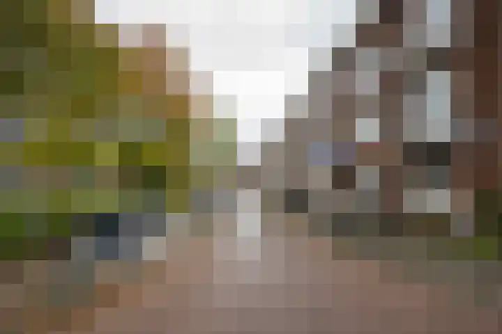Letlandsestraat 30 A Rotterdam thumbnail 6