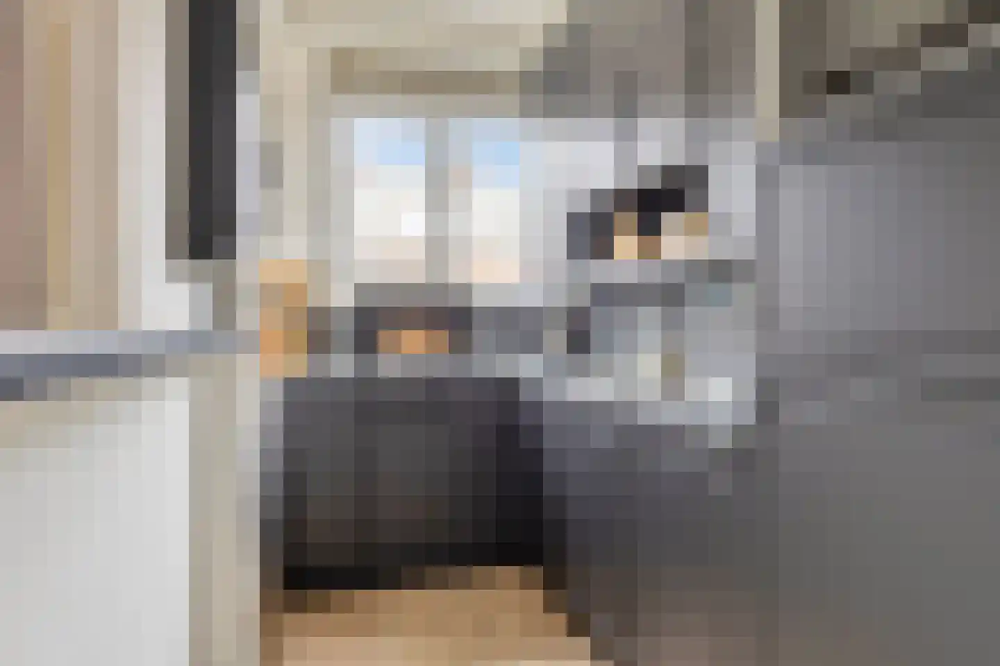 Letlandsestraat 4 C Rotterdam thumbnail 16