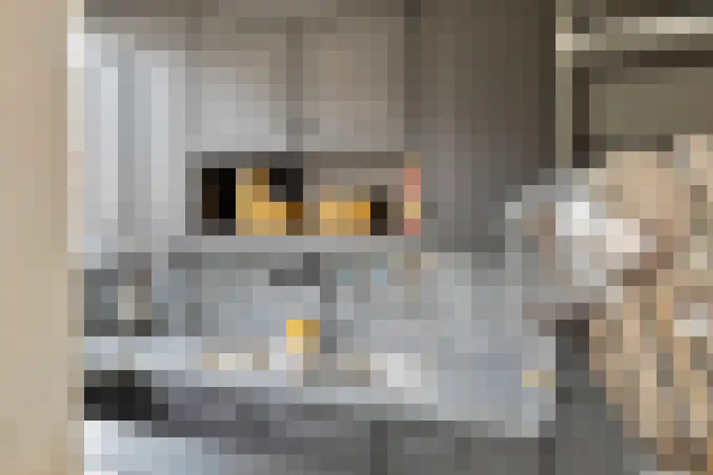 Letlandsestraat 4 C Rotterdam thumbnail 20