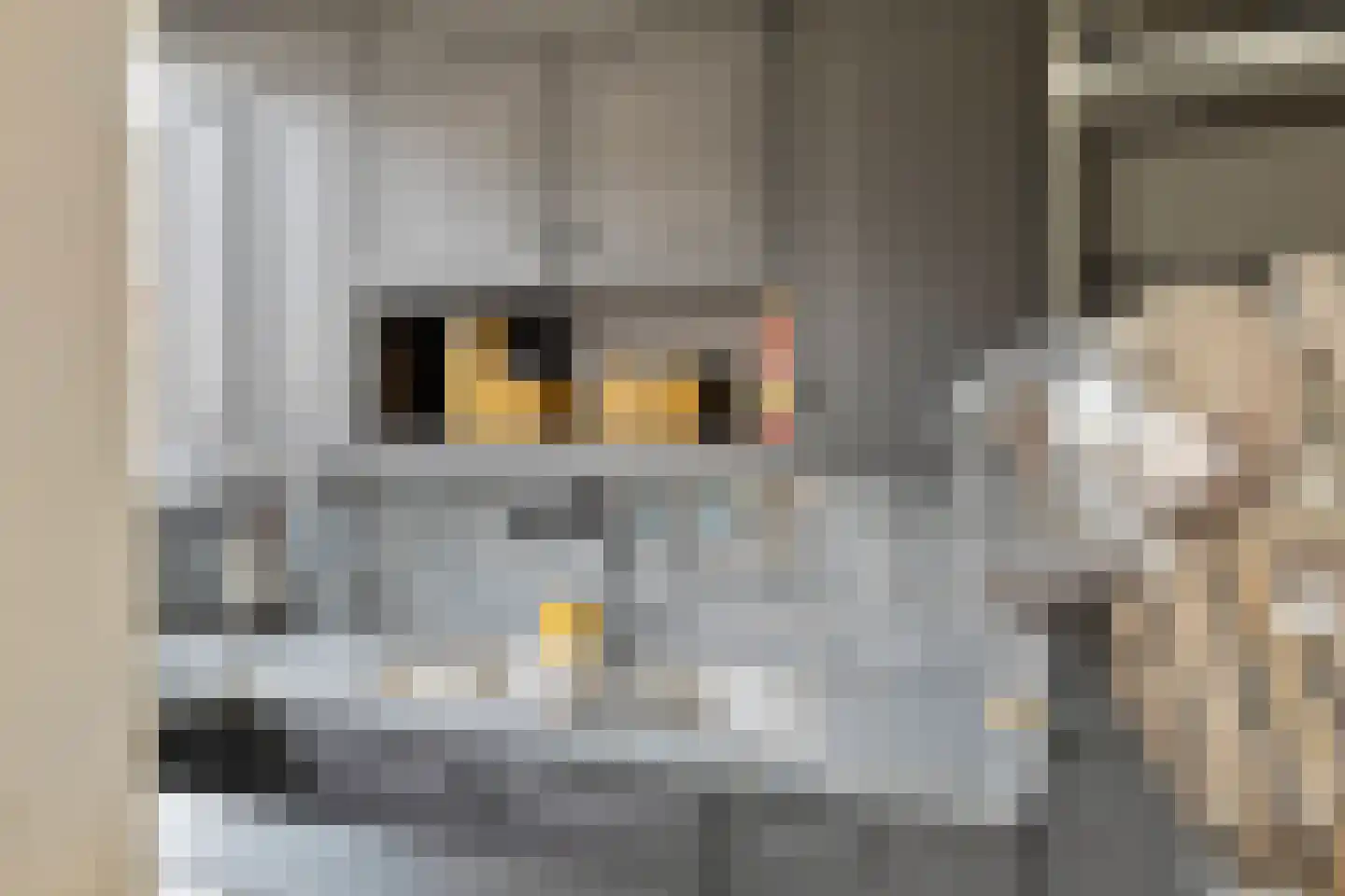 Letlandsestraat 4 C Rotterdam thumbnail 20