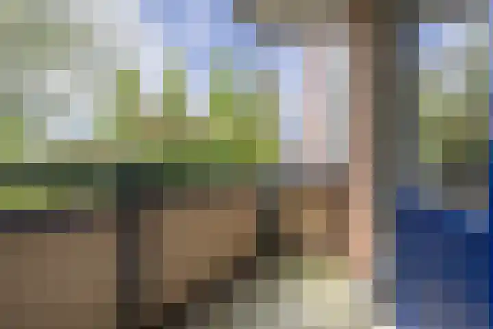Lettenburg 108 Hoofddorp thumbnail 36