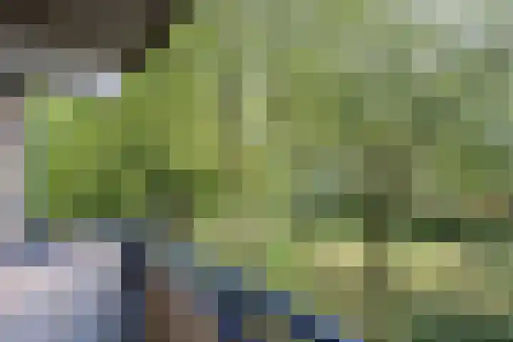Lettenburg 108 Hoofddorp thumbnail 37