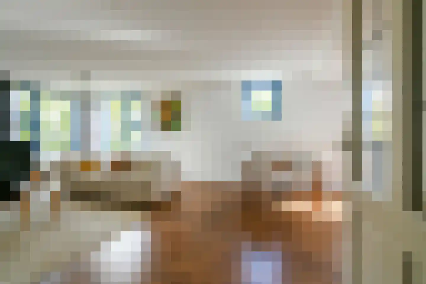 Lettenburg 184 Hoofddorp thumbnail 11