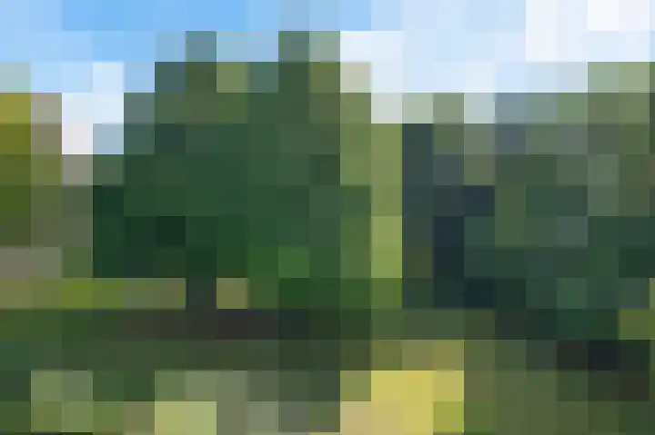 Lettenburg 48 Hoofddorp thumbnail 21
