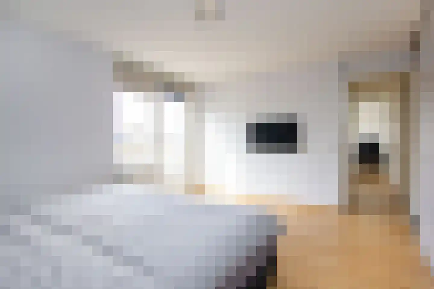 Lettenburg 64 Hoofddorp thumbnail 37