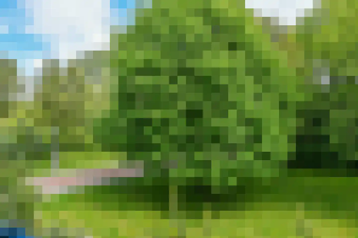 Lettenburg 8 Hoofddorp thumbnail 33