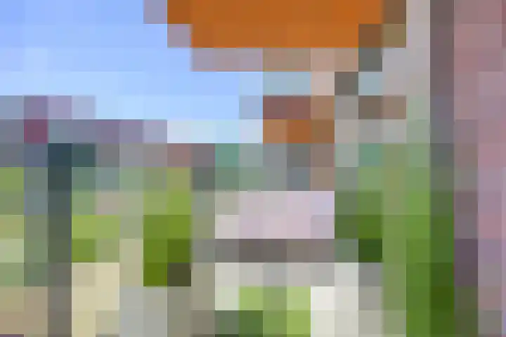 Letterhout 24 Zaandam thumbnail 12