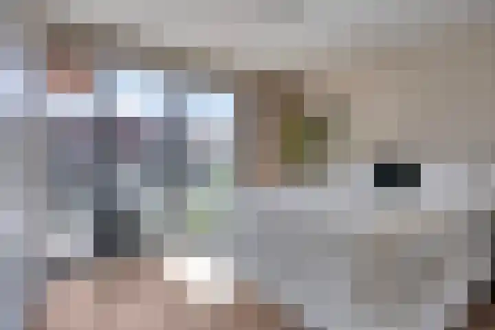 Letterhout 24 Zaandam thumbnail 14