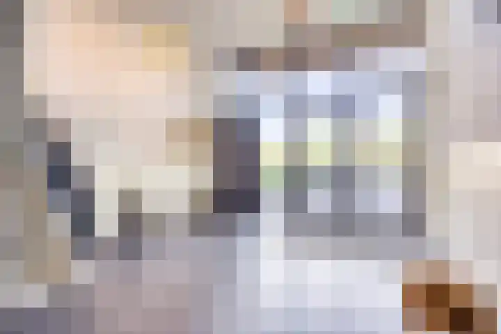Letterhout 24 Zaandam thumbnail 19