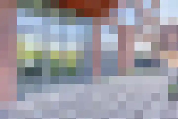 Letterhout 24 Zaandam thumbnail 21