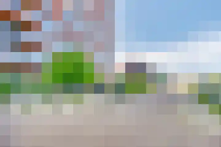 Letterhout 24 Zaandam thumbnail 22
