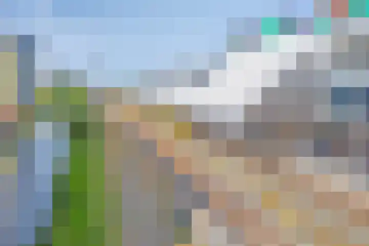 Letterhout 24 Zaandam thumbnail 25