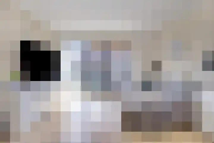 Letterhout 24 Zaandam thumbnail 4
