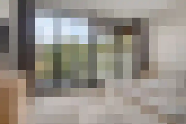 Letterhout 26 Zaandam thumbnail 13