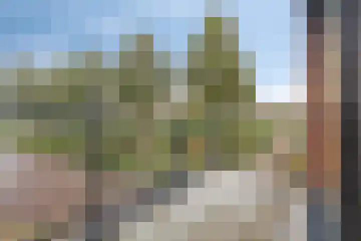 Letterhout 26 Zaandam thumbnail 16