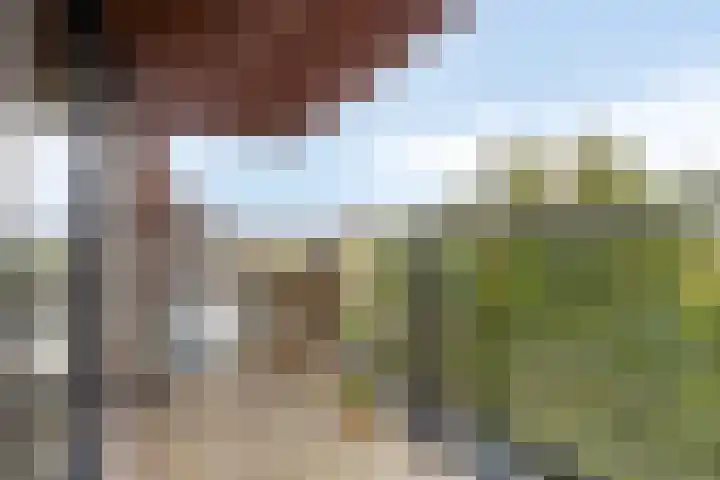 Letterhout 26 Zaandam thumbnail 17