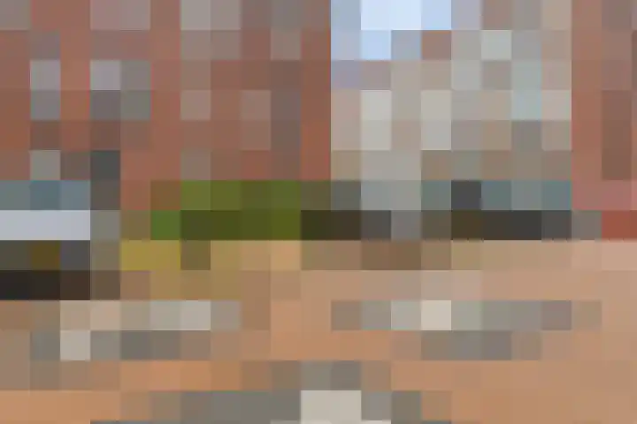 Letterhout 26 Zaandam thumbnail 20