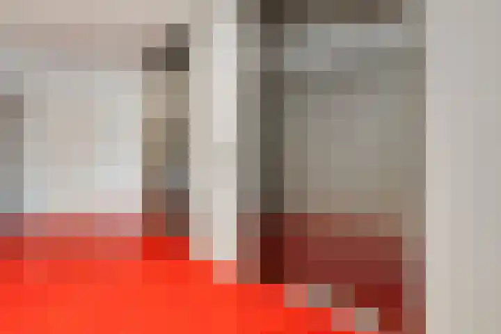 Letterhout 26 Zaandam thumbnail 23