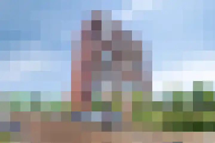Letterhout 26 Zaandam thumbnail 24