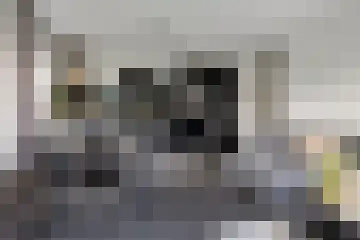 Letterhout 26 Zaandam thumbnail 4