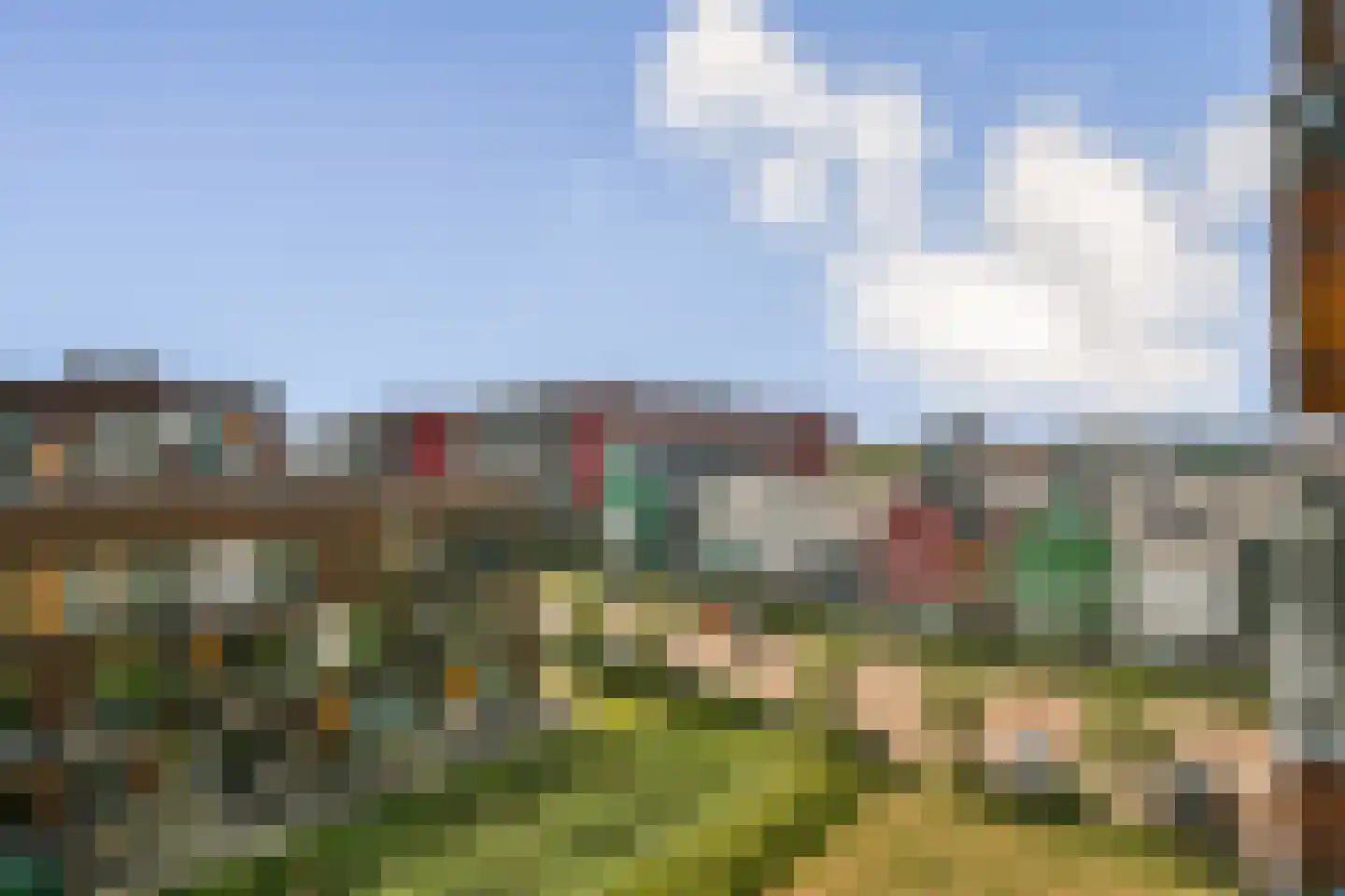 Letterhout 35 Zaandam thumbnail 21