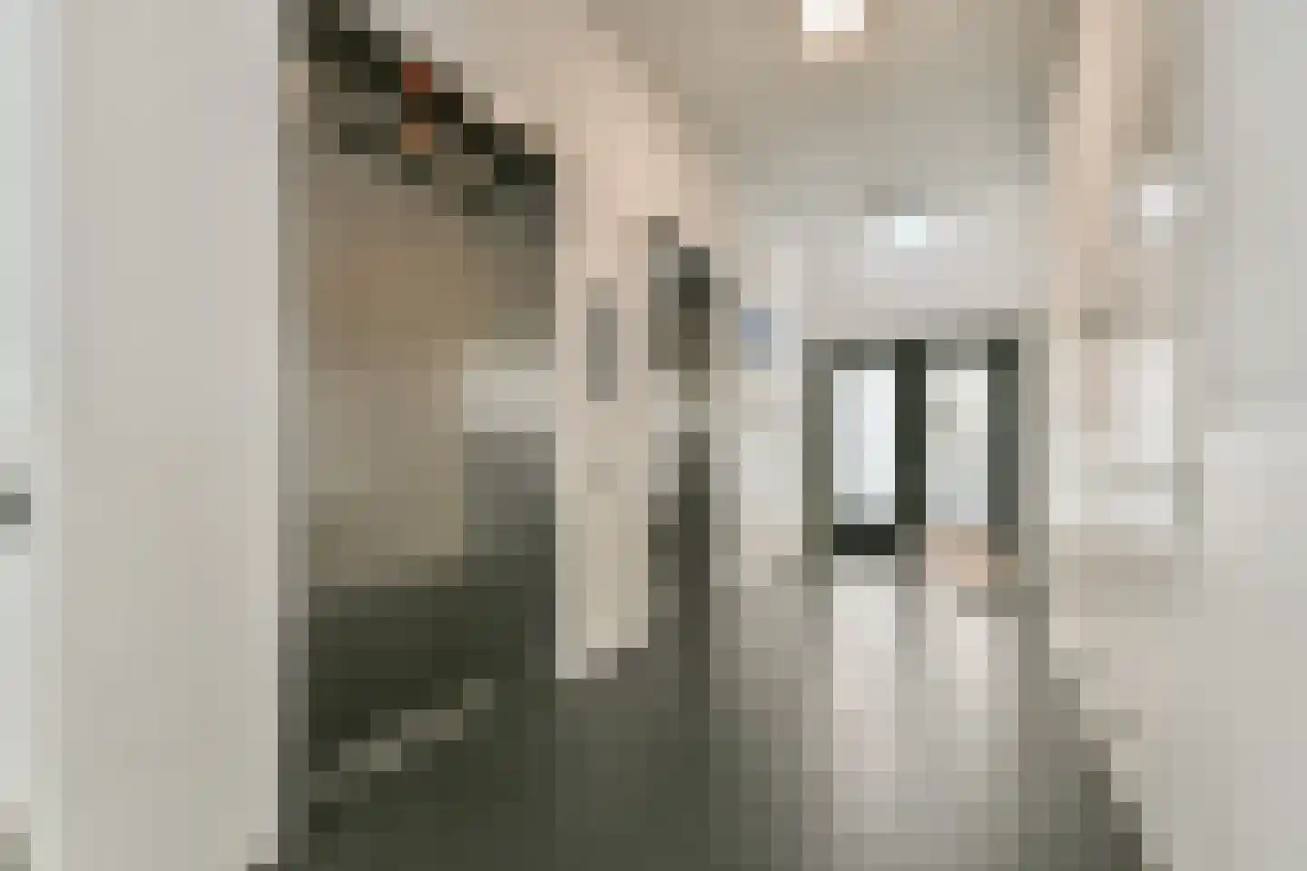 Letterhout 35 Zaandam thumbnail 22