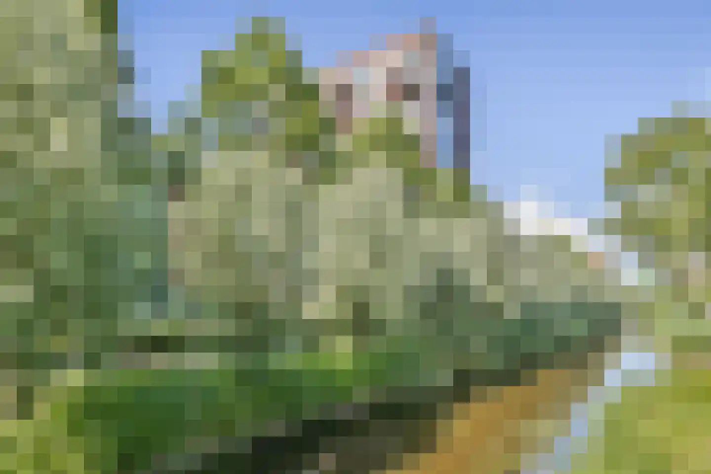 Letterhout 35 Zaandam thumbnail 26