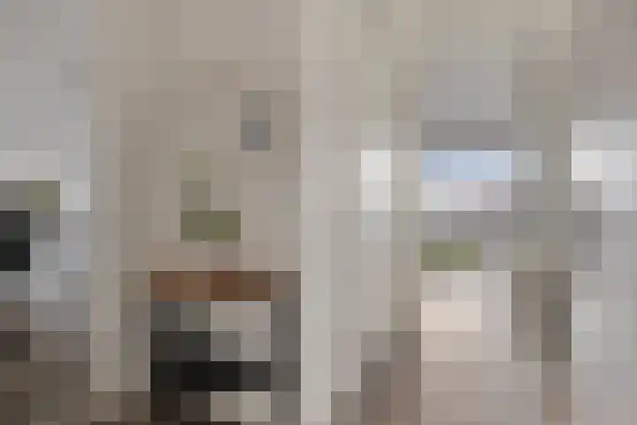 Letterhout 39 Zaandam thumbnail 10