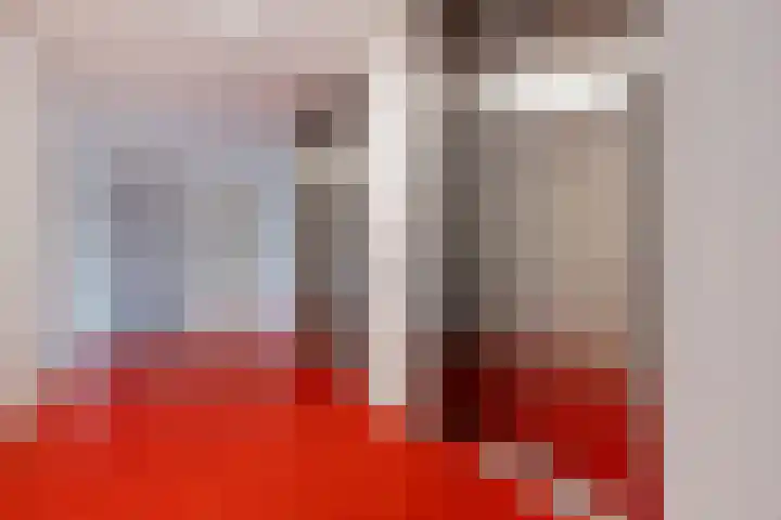 Letterhout 39 Zaandam thumbnail 21