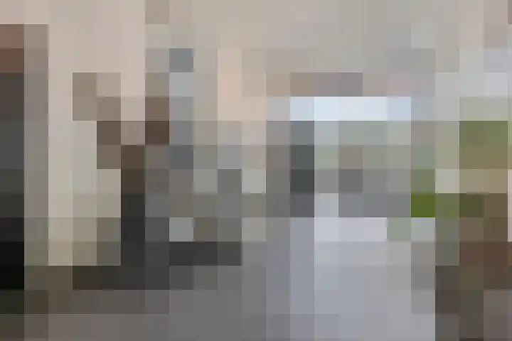 Letterhout 39 Zaandam thumbnail 22