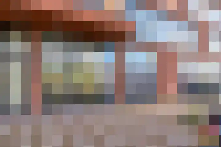 Letterhout 39 Zaandam thumbnail 23