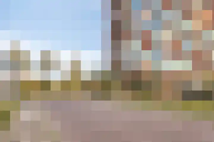 Letterhout 39 Zaandam thumbnail 27