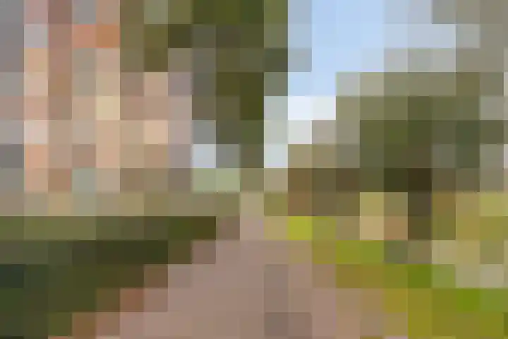 Letterhout 39 Zaandam thumbnail 30