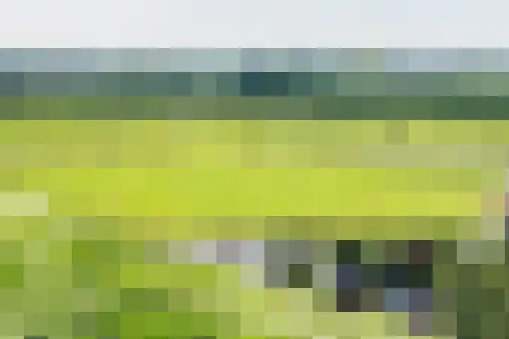 Letterhout 39 Zaandam thumbnail 31