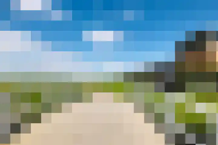 Letterhout 39 Zaandam thumbnail 32
