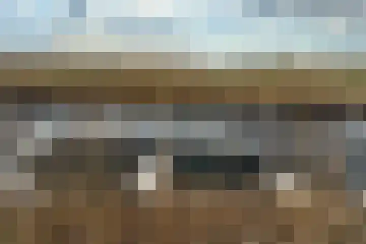 Letterhout 39 Zaandam thumbnail 33