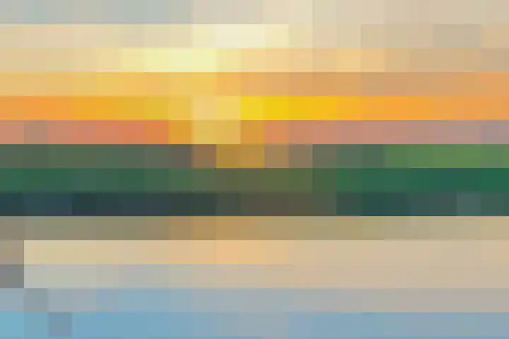 Letterhout 39 Zaandam thumbnail 34