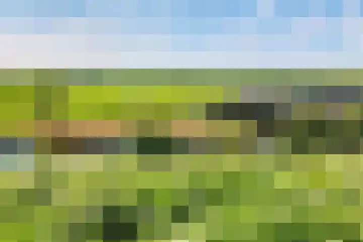 Letterhout 39 Zaandam thumbnail 35